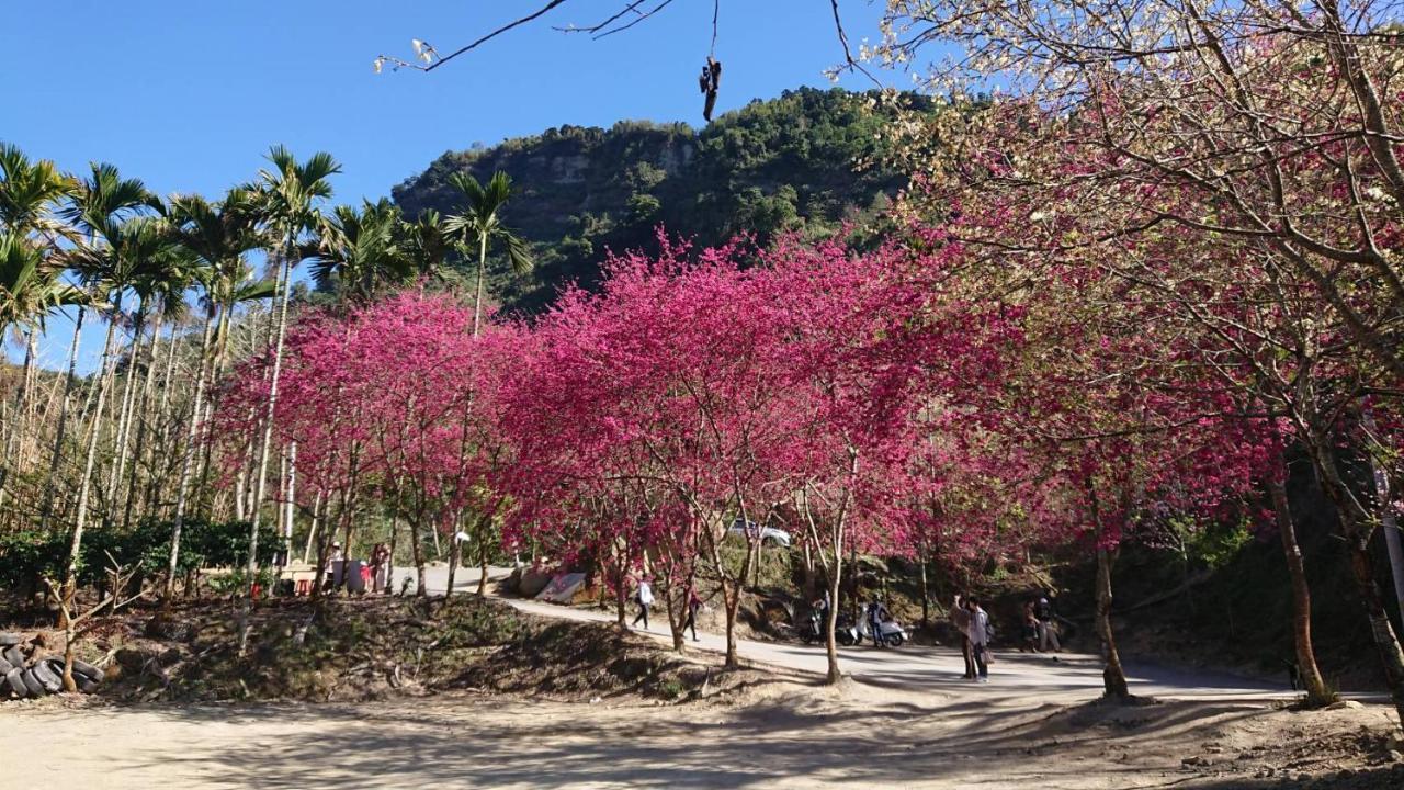 Ming Camphor Homestay Meishan Exterior photo